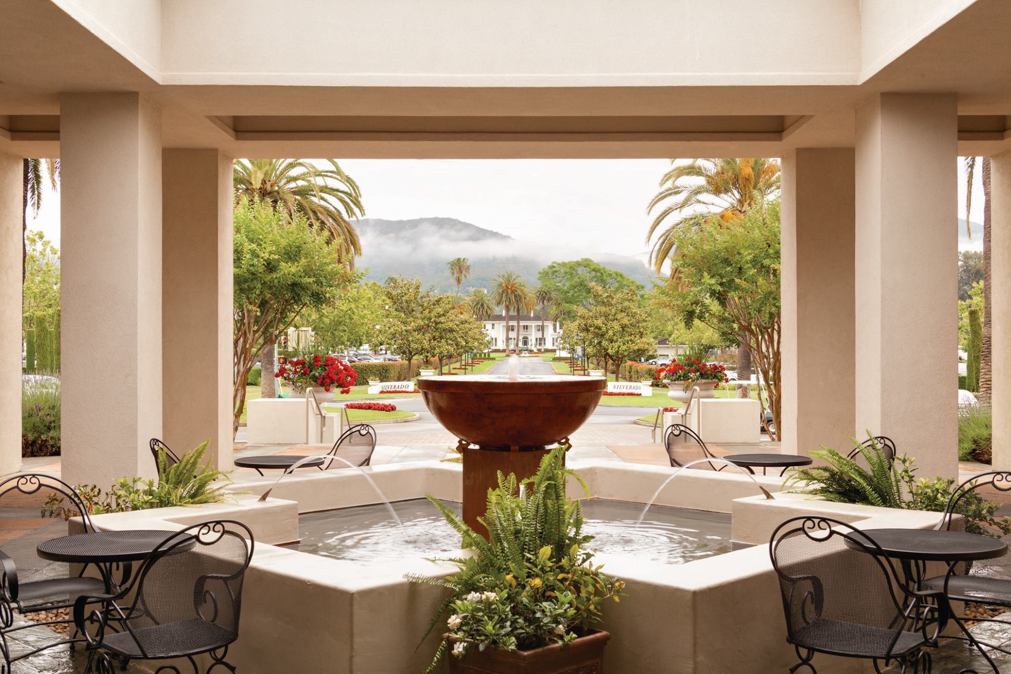 Featured image for “The Golden State Playbook: From Vineyards to Victory”